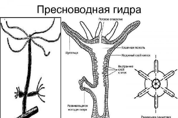 Kraken ссылка tor официальный сайт