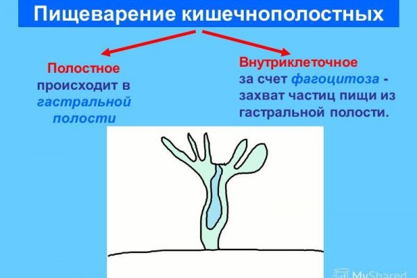 Кракен телеграмм магазин