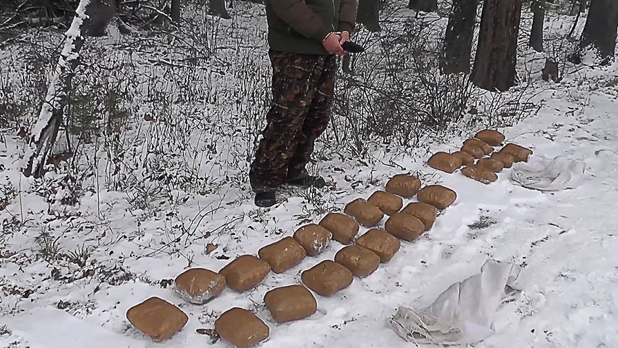 Как вывести деньги с кракена маркетплейс